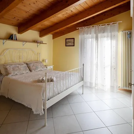 Il Glicine A Pesaro