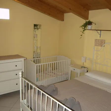 Il Glicine A Pesaro